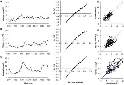 Applications of Variability Analysis Techniques for Continuous Glucose Monitoring Derived Time Series in Diabetic Patients